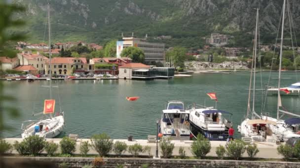 Панорама Улиц Котора Залива Города Достопримечательности Черногории — стоковое видео
