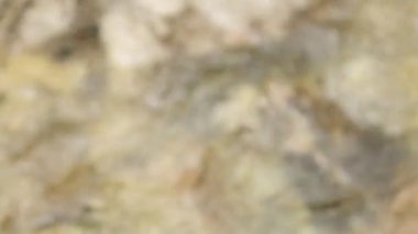 Karadağ'da güzel bir dağ şelalesi. Atmosferik doğa ve dağ nehri.