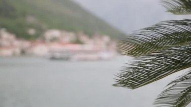 Karadağ'ın Perast kasabasında manzara. Doğa ve çiçekler eski şehrin arka planda.