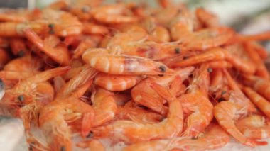 Buzdaki dükkan tezgahında taze karides. Karadağ'da balıkçıların gece avı.