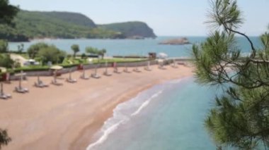 Sveti Stefan adası yakınında pitoresk sahil. Karadağ'da kum ve şezlonglu turistik plaj.