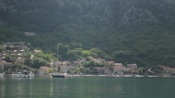 Naturaleza Alrededor Del Casco Antiguo Kotor Montañas Fortalezas Golfo Montenegro — Vídeo de stock