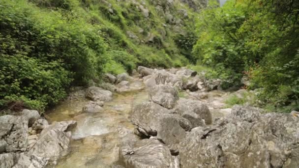 Prachtige Berg Waterval Montenegro Atmosferische Natuur Berg Rivier — Stockvideo