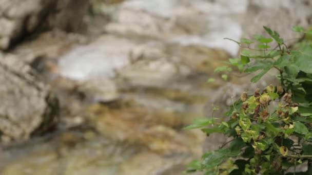Prachtige Berg Waterval Montenegro Atmosferische Natuur Berg Rivier — Stockvideo