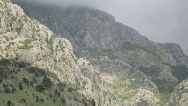 科托尔老城区周围的自然风光 黑山湾的山脉和堡垒 — 图库视频影像