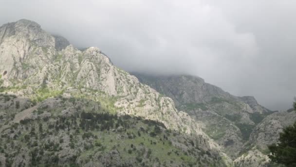 科托尔老城区周围的自然风光 黑山湾的山脉和堡垒 — 图库视频影像
