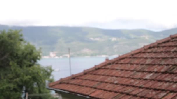 Старые Атмосферные Улицы Черногории Каменные Крепости Жилые Здания Котора — стоковое видео