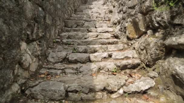 Old Atmospheric Streets Montenegro Masonry Fortresses Residential Buildings Kotor — Stock Video