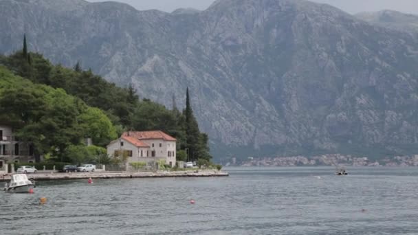 Festői Partján Kotori Öbölben Légköri Idegenforgalmi Helyek Montenegró — Stock videók