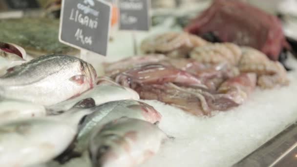 冰上商店柜台上的新鲜虾 黑山渔民的夜间捕获 — 图库视频影像