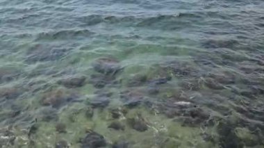 Yukarıda dalgalar ve deniz suyu dokusu. Taş sahildeki mavi su ve dokulu köpük.