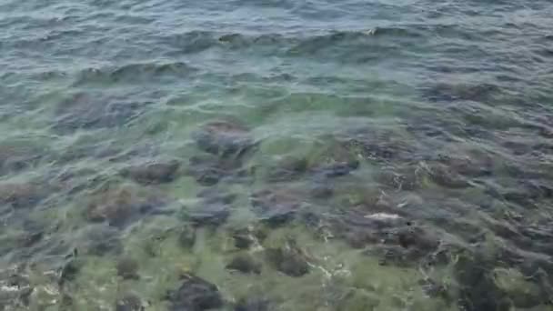 Texture Onde Acqua Mare Dall Alto Acqua Blu Schiuma Strutturata — Video Stock