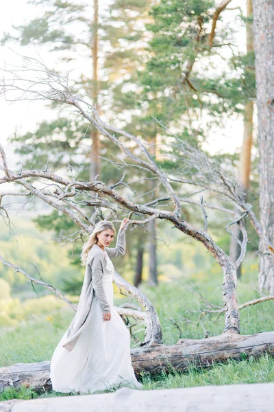 Hermosa Historia Amor Bosque Boda Sesión Fotos Pareja Naturaleza —  Fotos de Stock