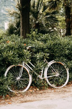  Makro fotoğrafçılıkta Karadağ'ın doğası. Yaprak ve çimsoyut tropikal arka planlar.