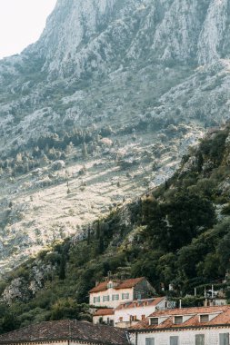 Avrupa'daki dağların panoramik manzarası. Kotor Körfezi'ndeki dağlar ve kayalar, Karadağ. 