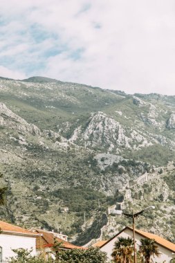 Avrupa'daki dağların panoramik manzarası. Kotor Körfezi'ndeki dağlar ve kayalar, Karadağ. 