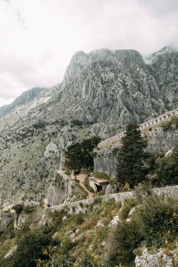 Karadağ'da turistik mekanlar ve manzaralar. Dağdan akşam Kotor Panorama. 