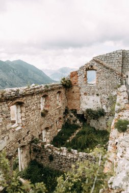 Karadağ'da turistik mekanlar ve manzaralar. Dağdan akşam Kotor Panorama. 