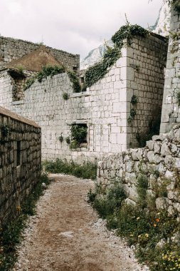 Karadağ'da turistik mekanlar ve manzaralar. Dağdan akşam Kotor Panorama. 