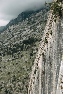 Karadağ'da turistik mekanlar ve manzaralar. Dağdan akşam Kotor Panorama. 