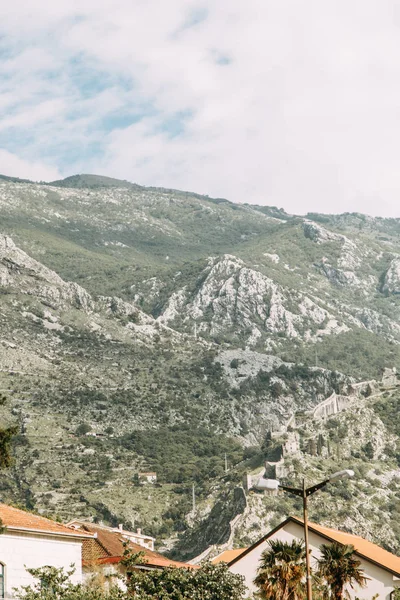 Vista Panorâmica Das Montanhas Europa Montanhas Rochas Baía Kotor Montenegro — Fotografia de Stock