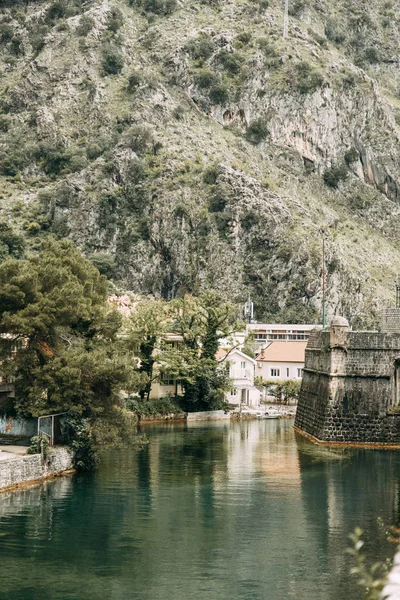 Zabytki Widoki Czarnogórze Panorama Wieczoru Kotor Góry — Zdjęcie stockowe