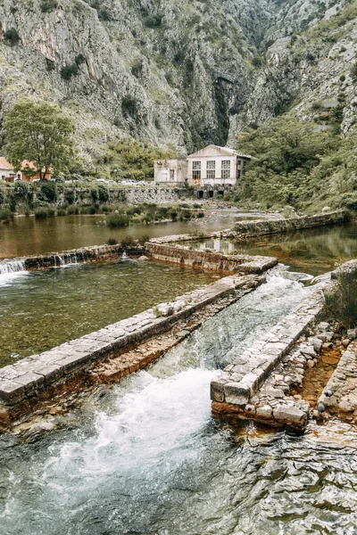 Zabytki Czarnogóry Ulic Panorama Zatoki Kotorskiej Starego Miasta — Zdjęcie stockowe