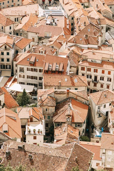 Tegeltak Montenegro Och Europa Panorama Staden Kotor Från Höjden Berg — Stockfoto