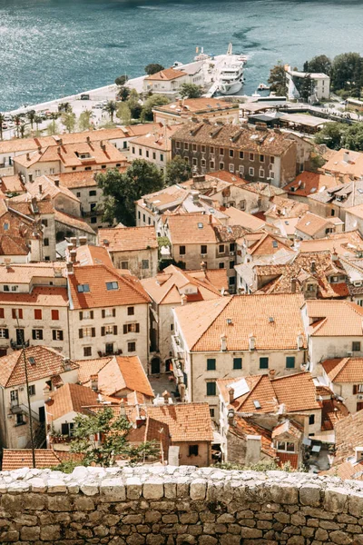 Tegeltak Montenegro Och Europa Panorama Staden Kotor Från Höjden Berg — Stockfoto