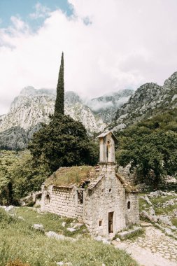 Antik kalıntılar ve taş duvarlar. Kotor, Karadağ'da terk edilmiş eski kilise. 