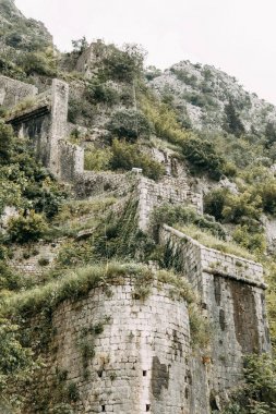 Karadağ'da turistik mekanlar ve manzaralar. Dağdan akşam Kotor Panorama. 