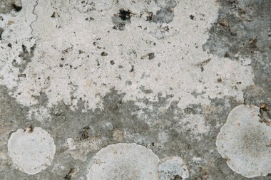 Karadağ ve Avrupa'da taş. Taş işçiliği ve eski binaların dokusu. 