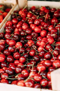 Üzüm, şeftali ve karpuz ile sayaç. Karadağ' da meyve pazarı, Kotor. 