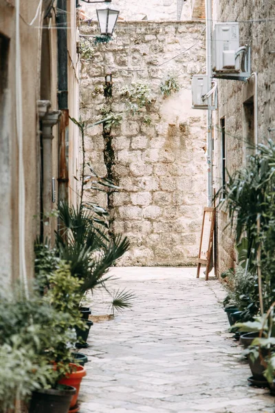 Acogedores Rincones Montenegro Panorama Ciudad Kotor Los Detalles Las Calles — Foto de Stock