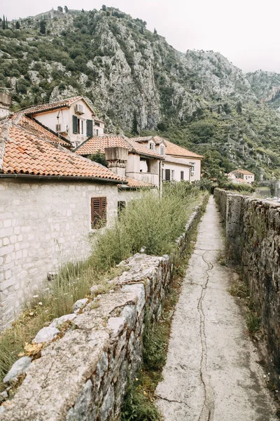 Mysiga Hörn Montenegro Panorama Över Staden Kotor Och Detaljerna Gatorna — Stockfoto