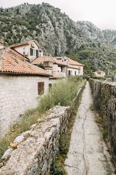 Przytulne Narożniki Czarnogóry Panorama Miasta Kotor Szczegóły Ulic — Zdjęcie stockowe