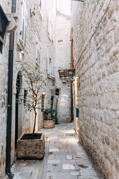 Gezellige Hoekjes Van Montenegro Panorama Van Stad Kotor Details Van — Stockfoto