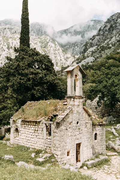 古代遺跡や石垣 モンテネグロ コトルの古い放棄された教会 — ストック写真