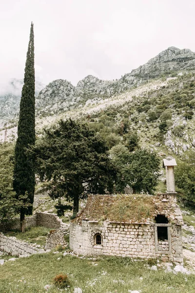 Ruínas Antigas Paredes Pedra Antiga Igreja Abandonada Kotor Montenegro — Fotografia de Stock