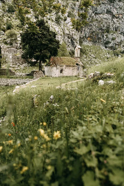 Ruínas Antigas Paredes Pedra Antiga Igreja Abandonada Kotor Montenegro — Fotografia de Stock