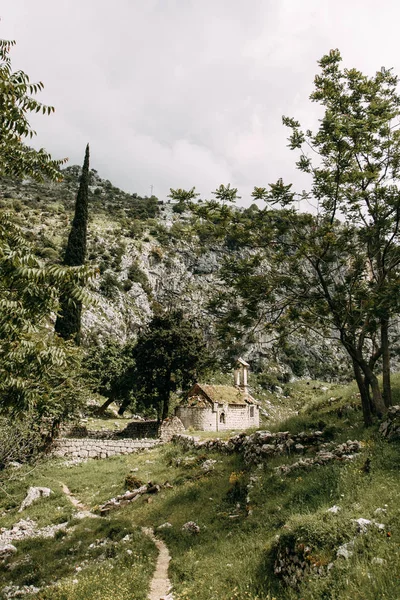 Ruínas Antigas Paredes Pedra Antiga Igreja Abandonada Kotor Montenegro — Fotografia de Stock