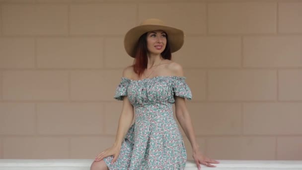 Sonrisas Emociones Naturaleza Una Chica Vestido Verano Sentada Cerca Finca — Vídeos de Stock