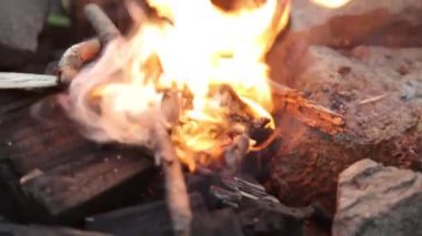 Yangın ve kömürler makro ormanda. Piknik ateşinde yanan dallar.