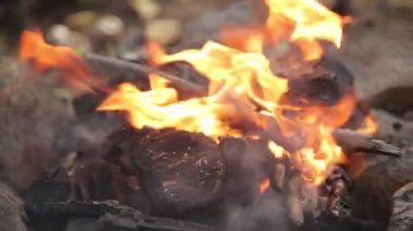 Yangın ve kömürler makro ormanda. Piknik ateşinde yanan dallar.
