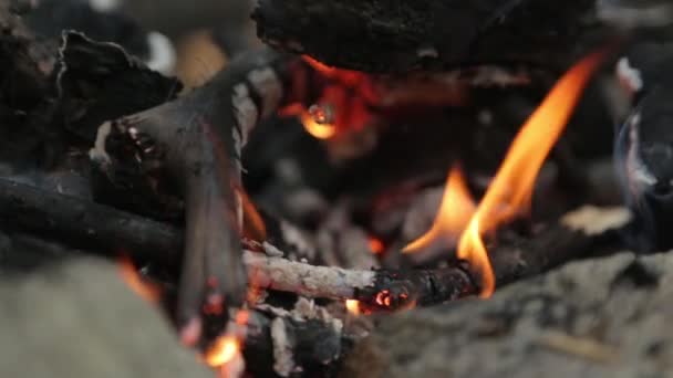 Brand Kolen Het Bos Macro Brandende Takken Een Picknick Vuur — Stockvideo