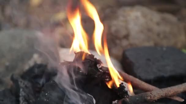 Feuer Und Kohlen Wald Makro Brennende Äste Auf Einem Picknickfeuer — Stockvideo