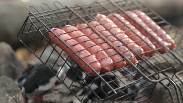 烤肉架上的炸香肠 大自然中的野餐 有火和烟 — 图库视频影像