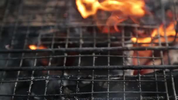 Grillgrill Kol Och Eld Picknick Naturen Med Eld — Stockvideo