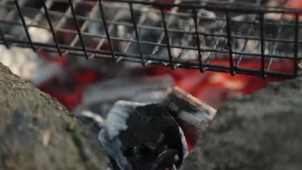 Churrasqueira Brasas Fogo Piquenique Natureza Com Fogo — Vídeo de Stock