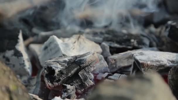 Grill Auf Kohlen Und Feuer Picknick Der Natur Mit Feuer — Stockvideo